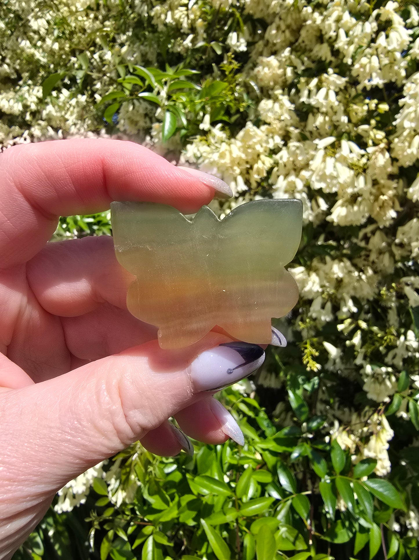 Rainbow Fluorite Butterfly A