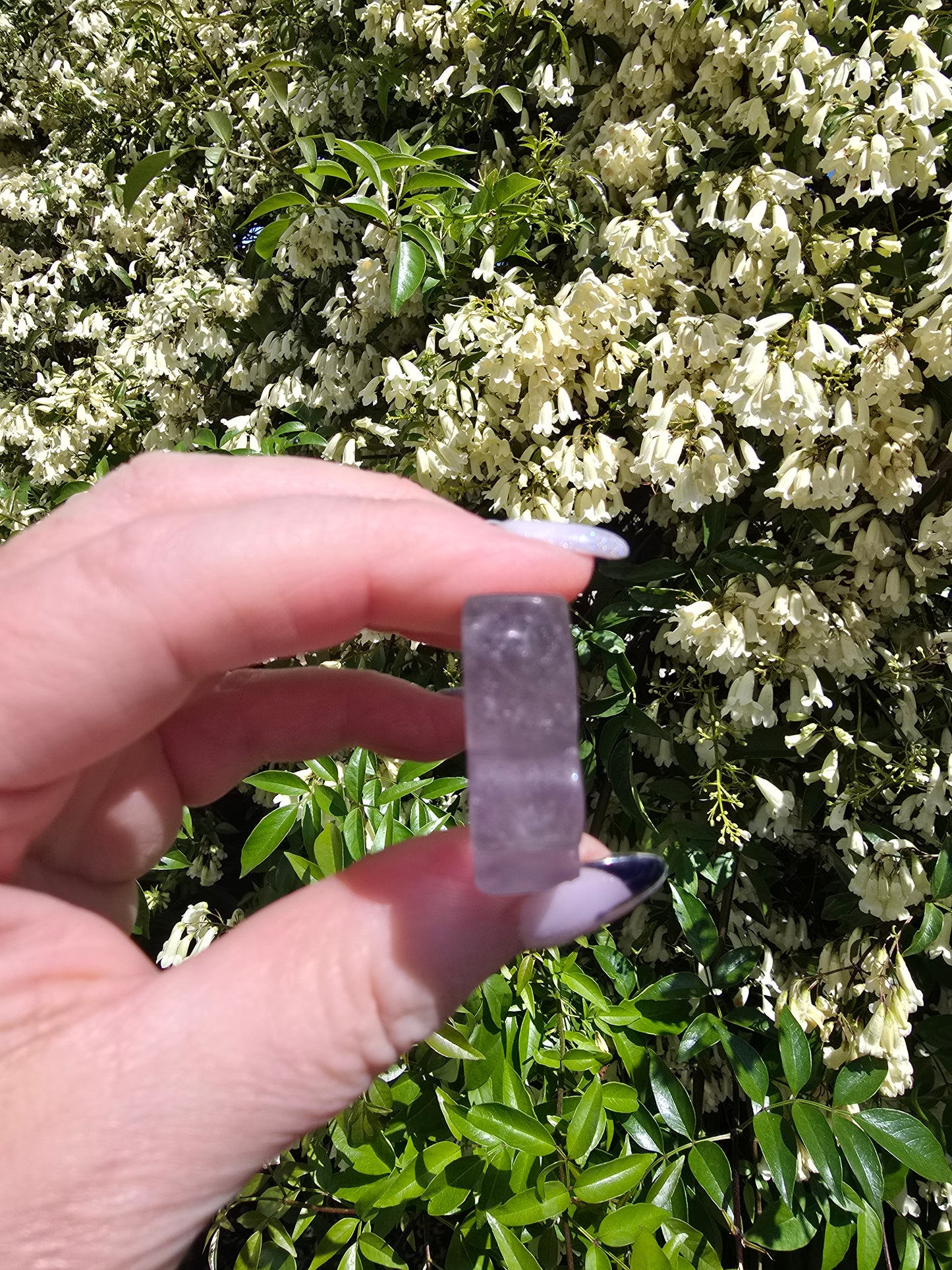 Rainbow Fluorite Butterfly B