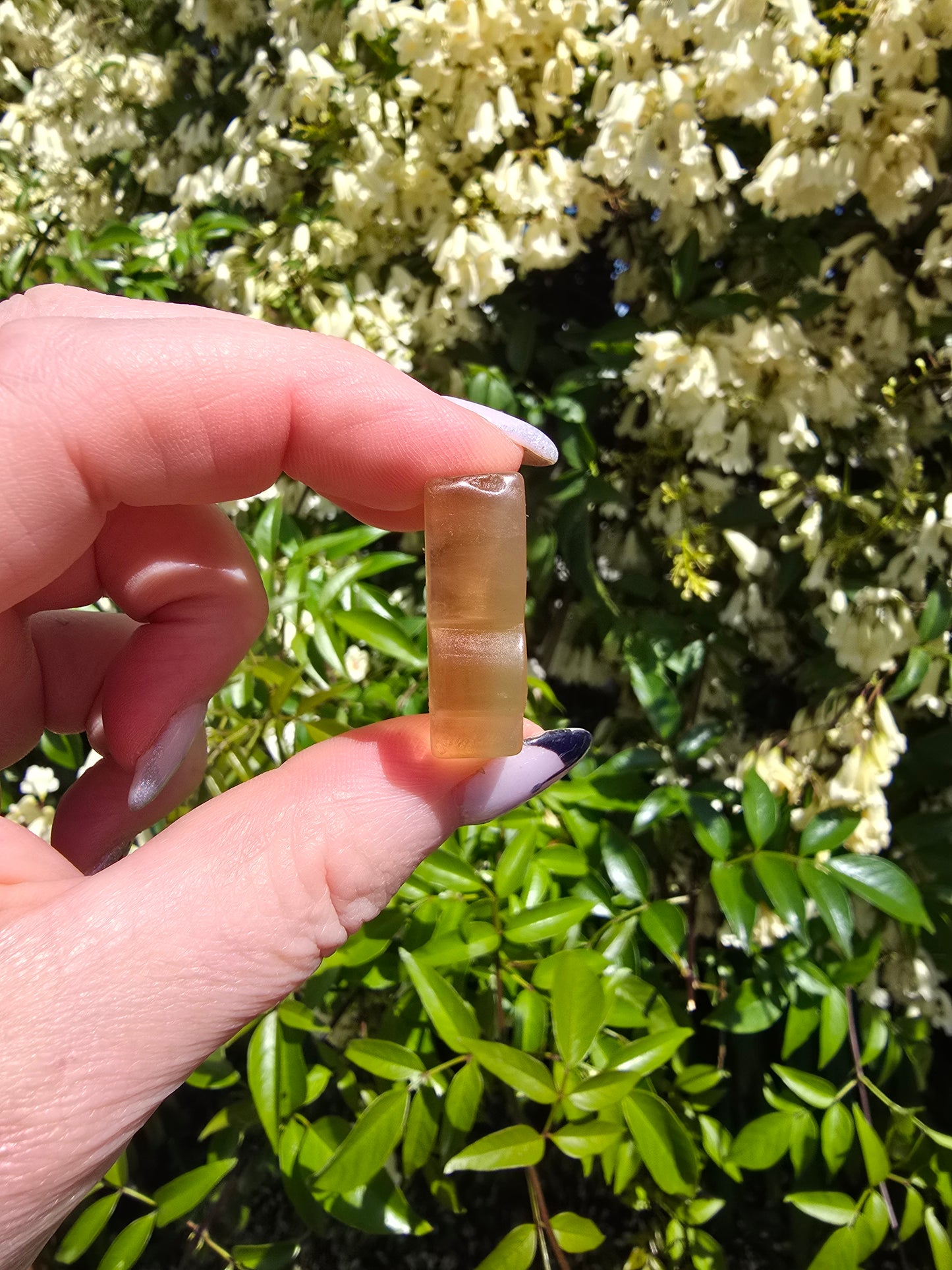 Rainbow Fluorite Butterfly E