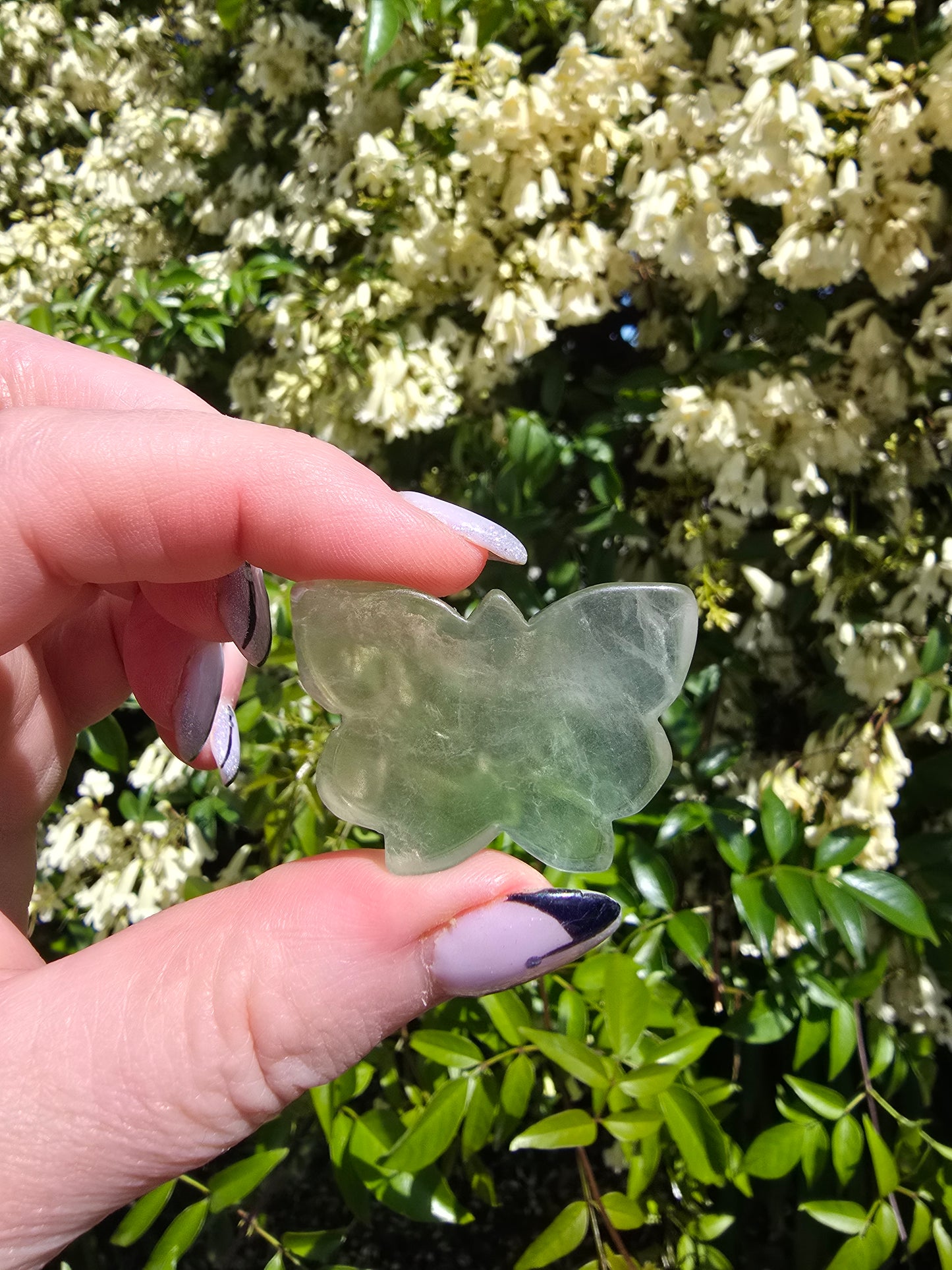 Rainbow Fluorite Butterfly F