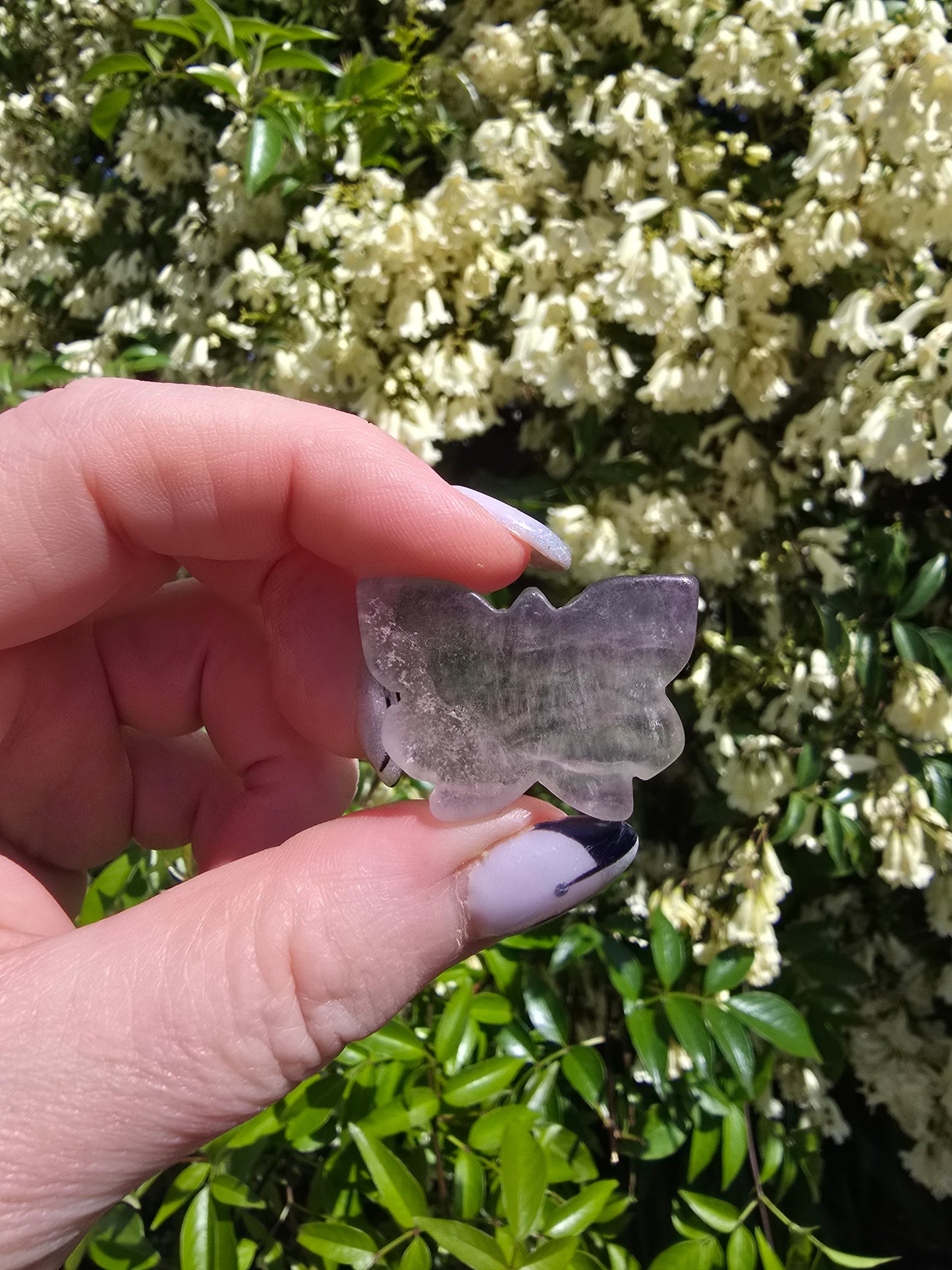 Rainbow Fluorite Butterfly i