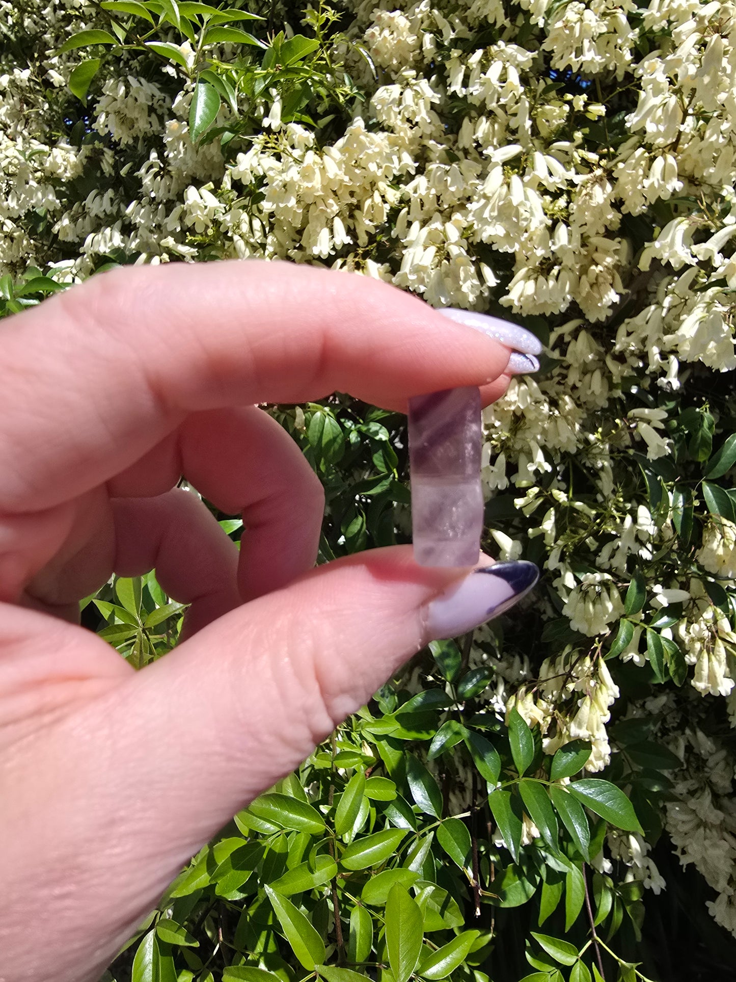 Rainbow Fluorite Butterfly i