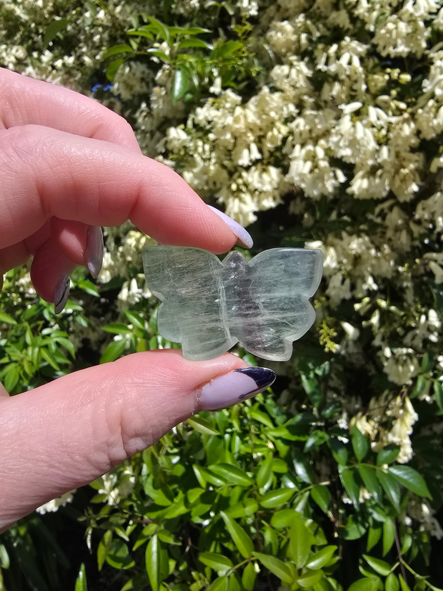 Rainbow Fluorite Butterfly j