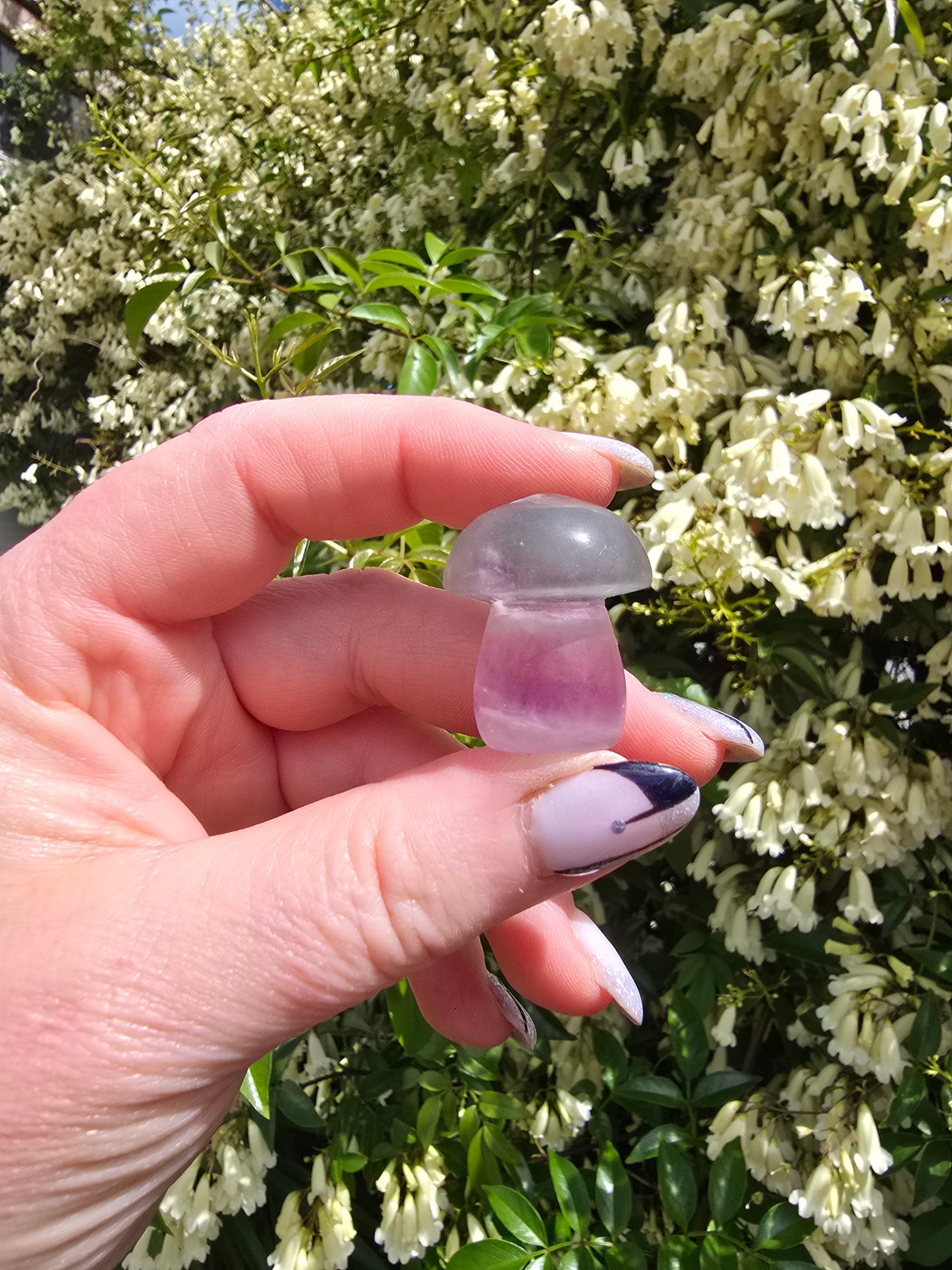 Rainbow Fluorite Small Mushroom