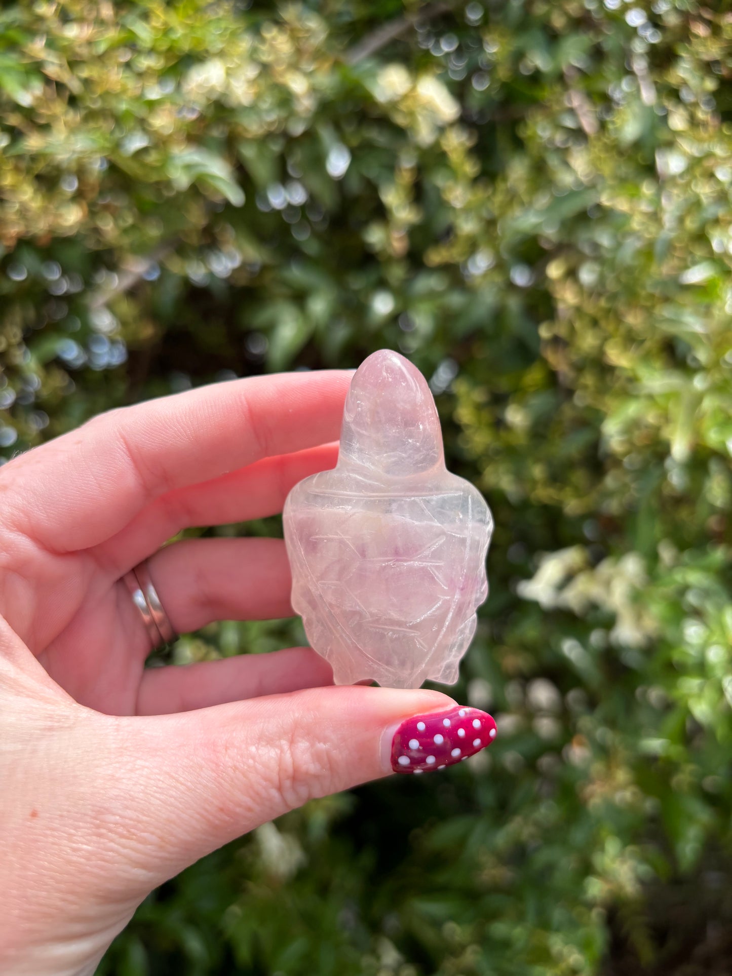 Rainbow Fluorite Small Turtle A