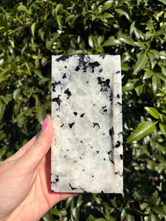 Rainbow Moonstone Rectangle Tray B