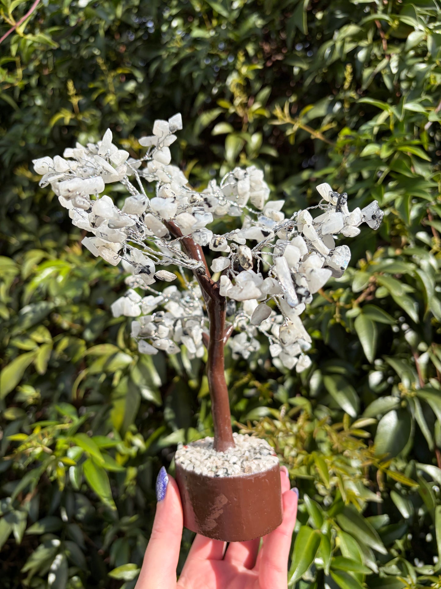 Rainbow Moonstone Crystal Tree Large