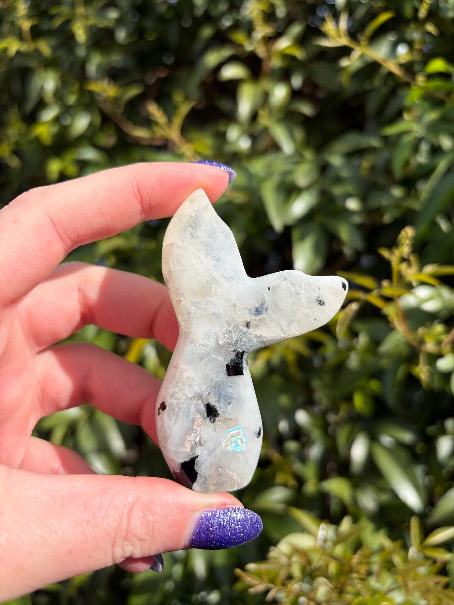 Rainbow Moonstone Mermaid Tail B