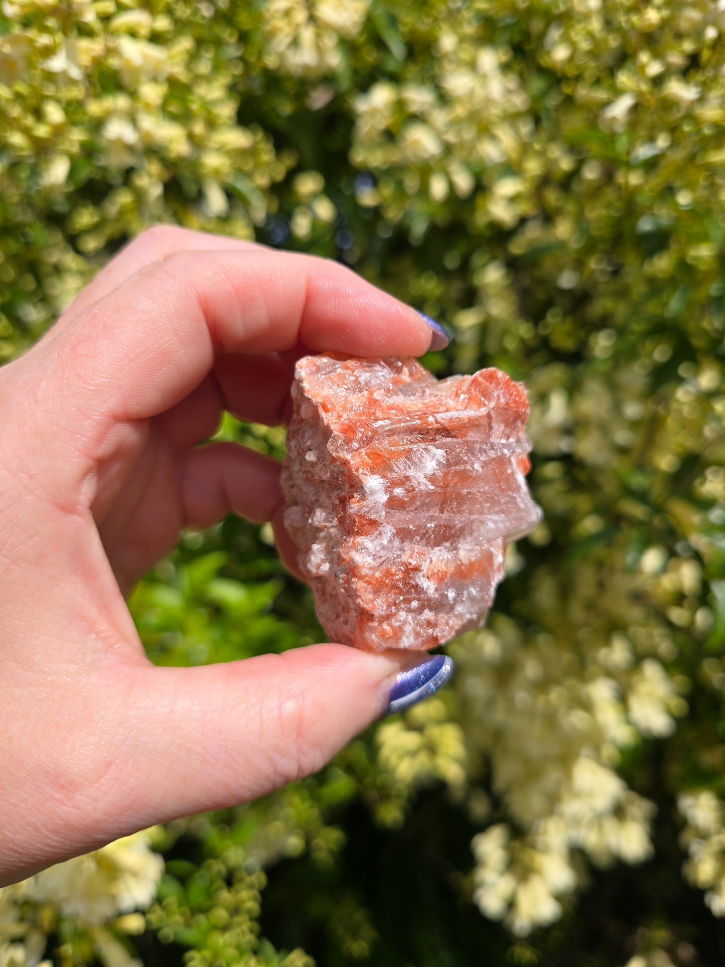 Red Calcite Rough Piece B