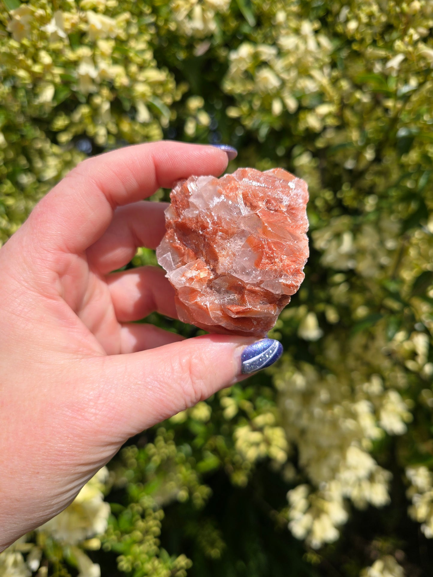 Red Calcite Rough Piece B
