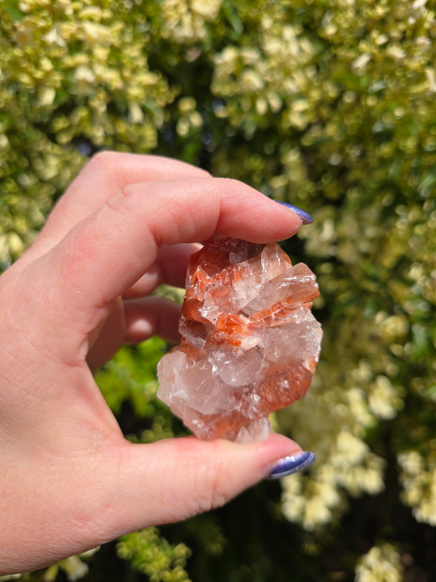 Red Calcite Rough Piece C