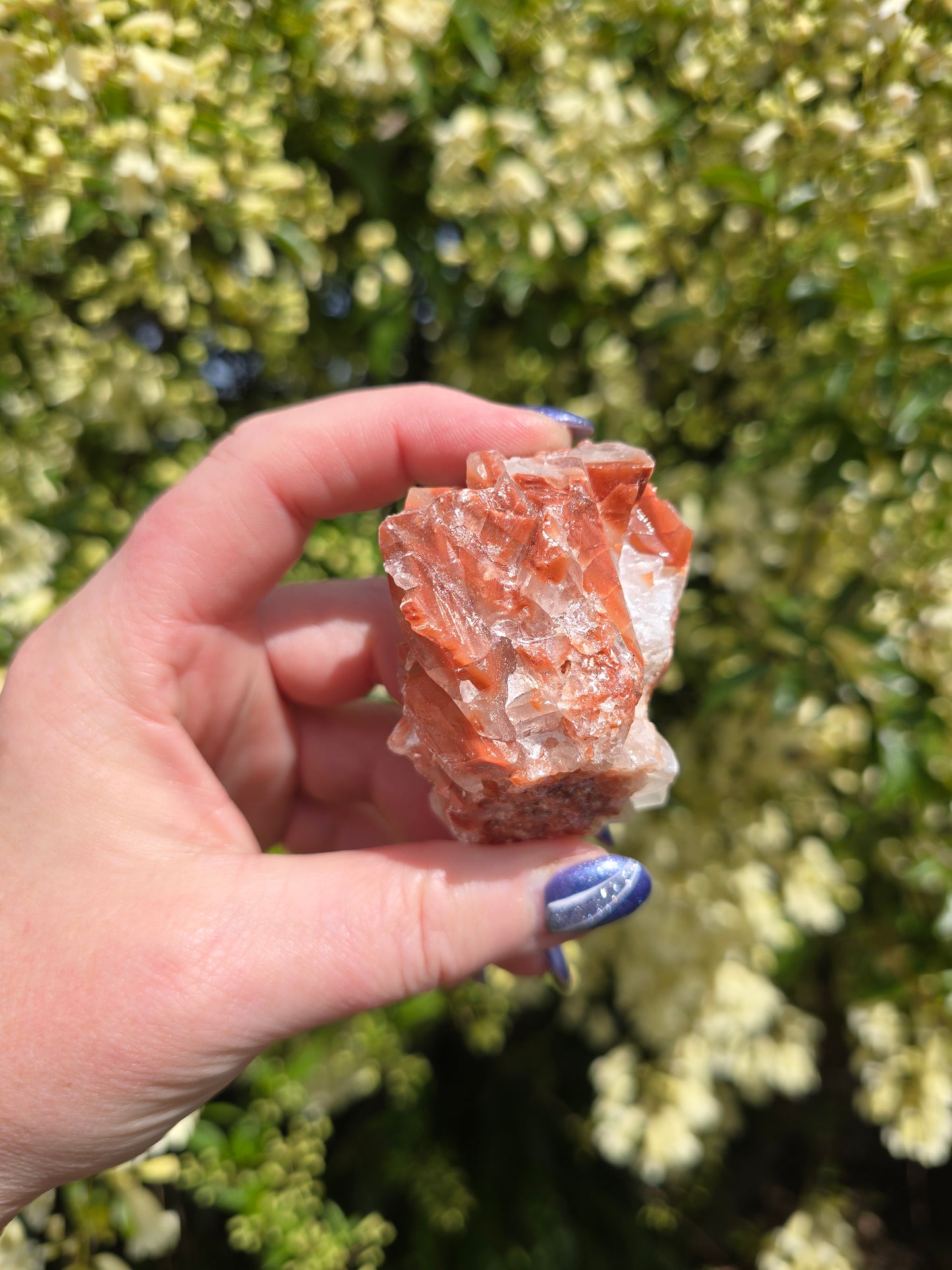 Red Calcite Rough Piece C