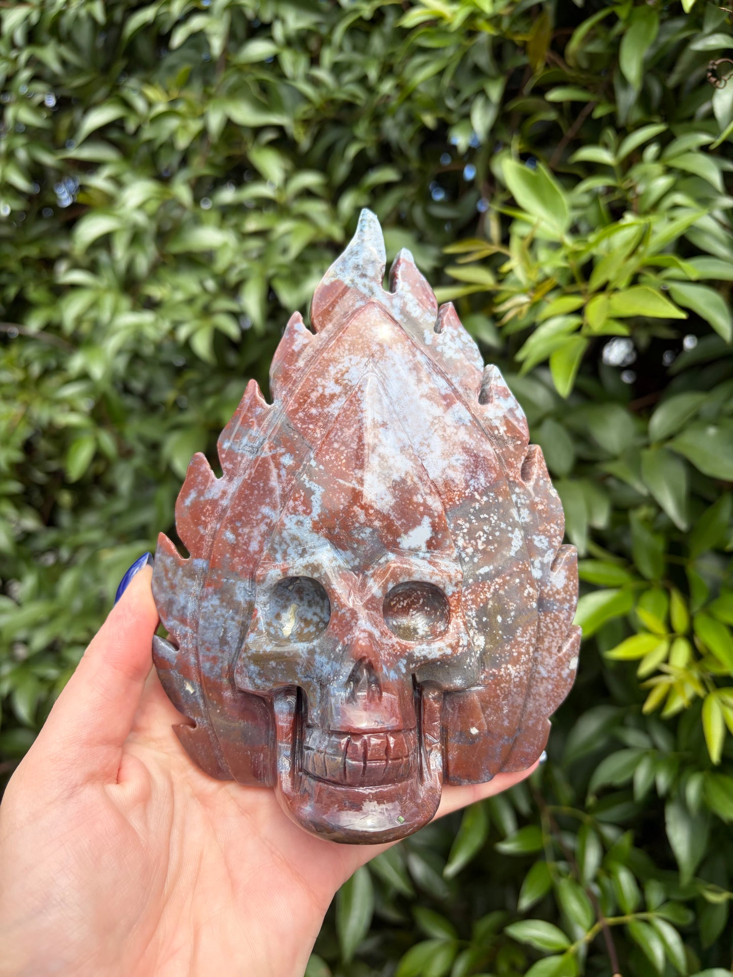 Red Ocean Jasper Skull