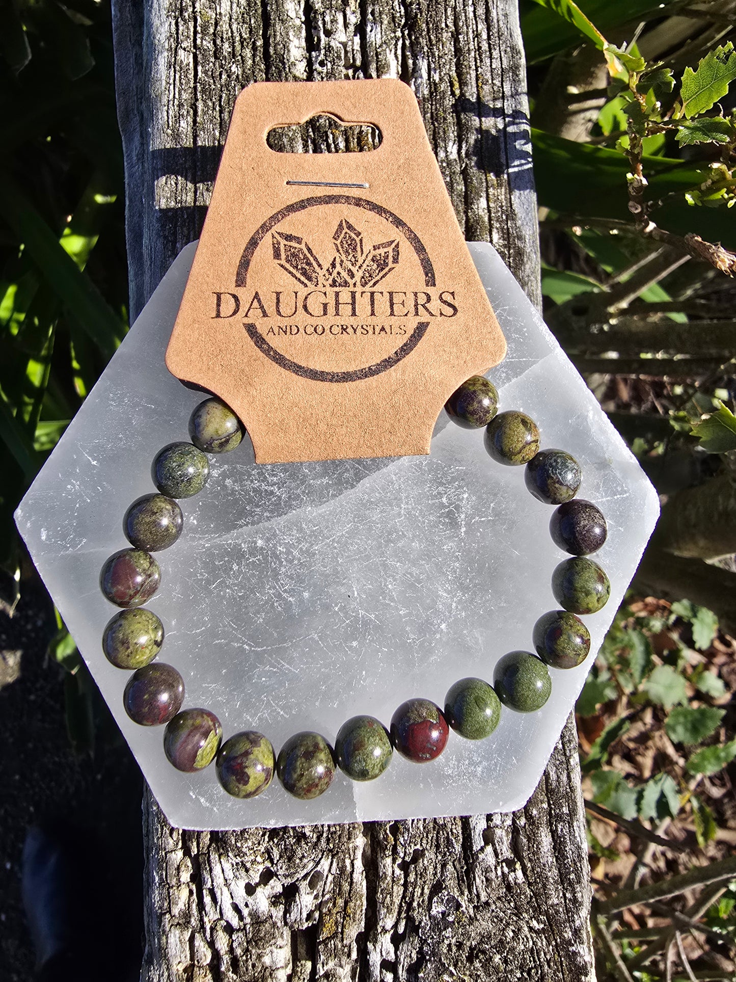 Dragons Blood | Round Bead Bracelet
