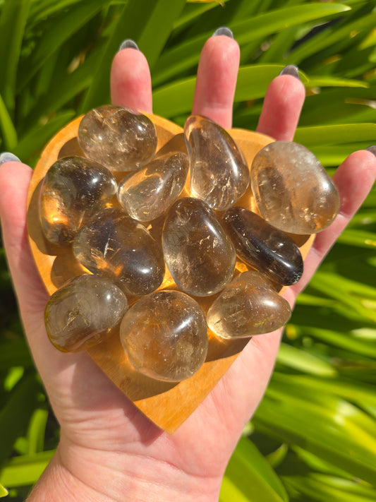 Smoky Quartz Medium Tumbled Stone