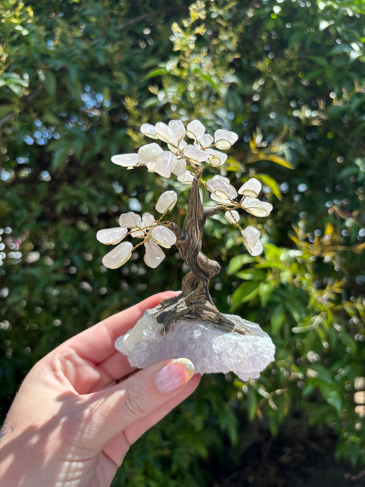 Rose Quartz With Amethyst Base Large Tree B