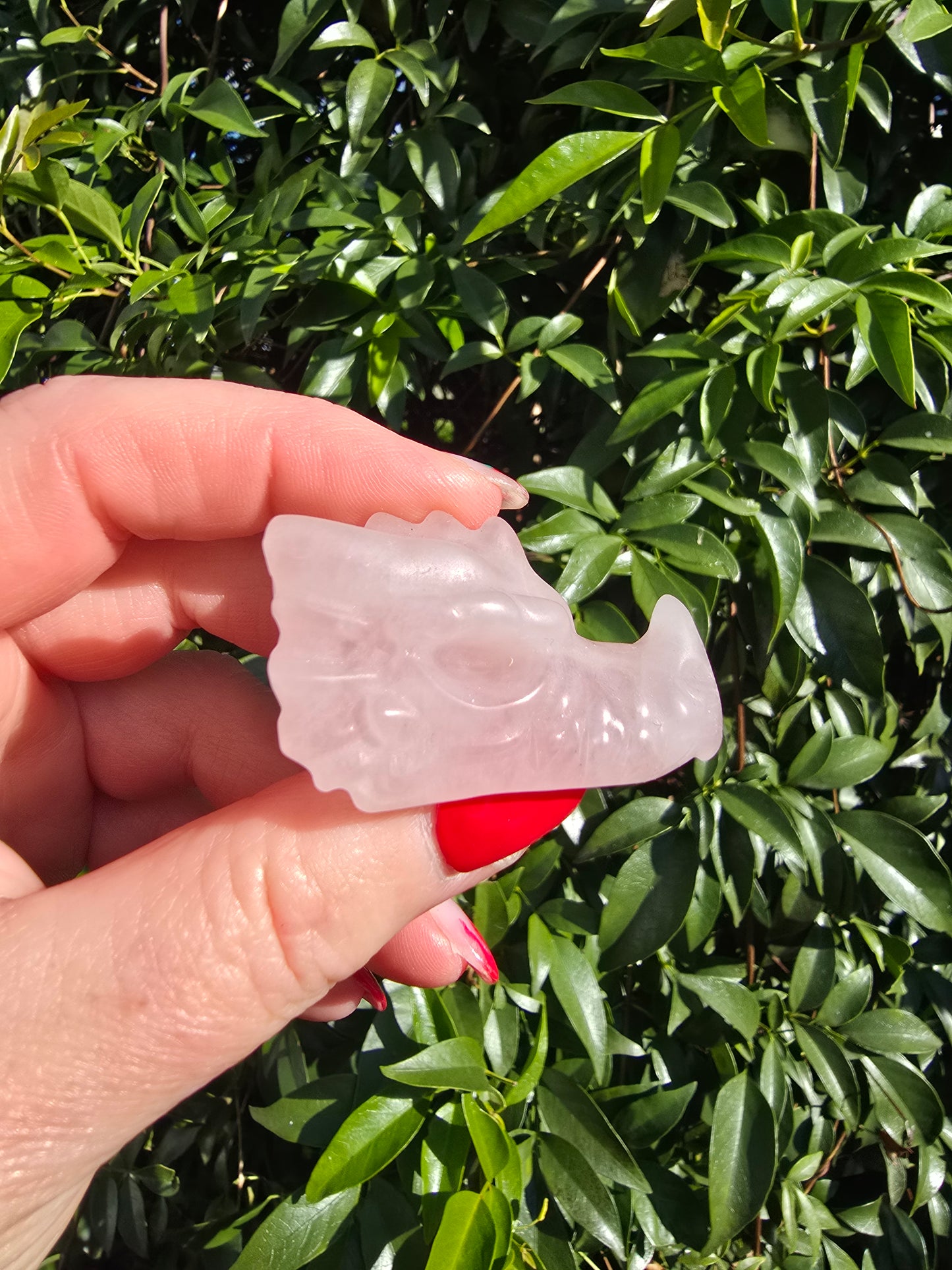 Rose Quartz Dragon Head Skull