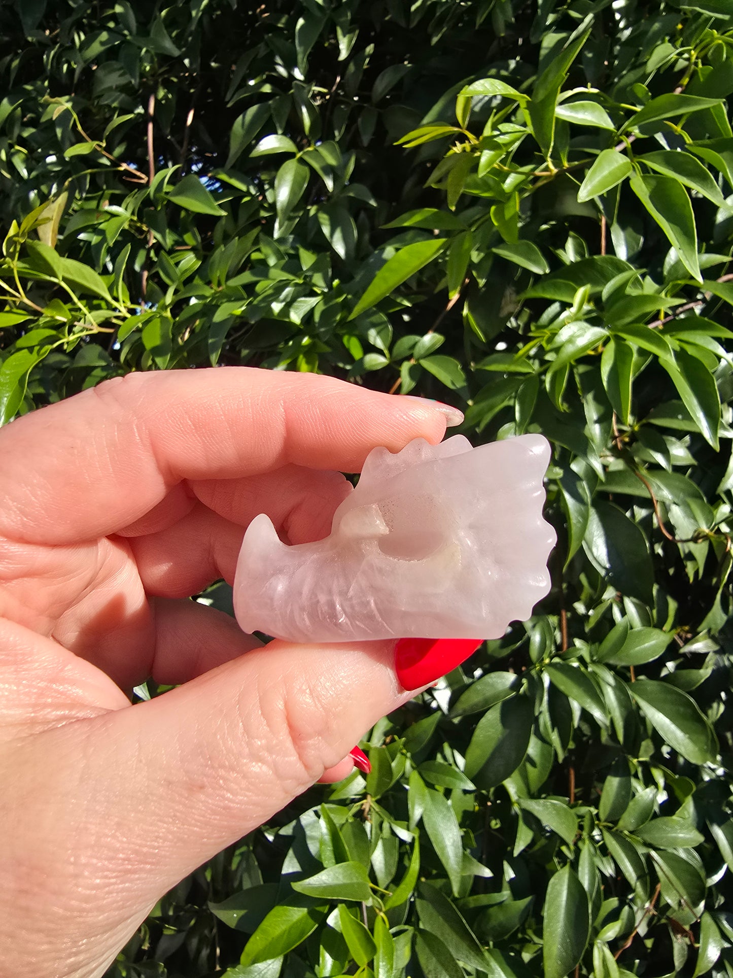 Rose Quartz Dragon Head Skull