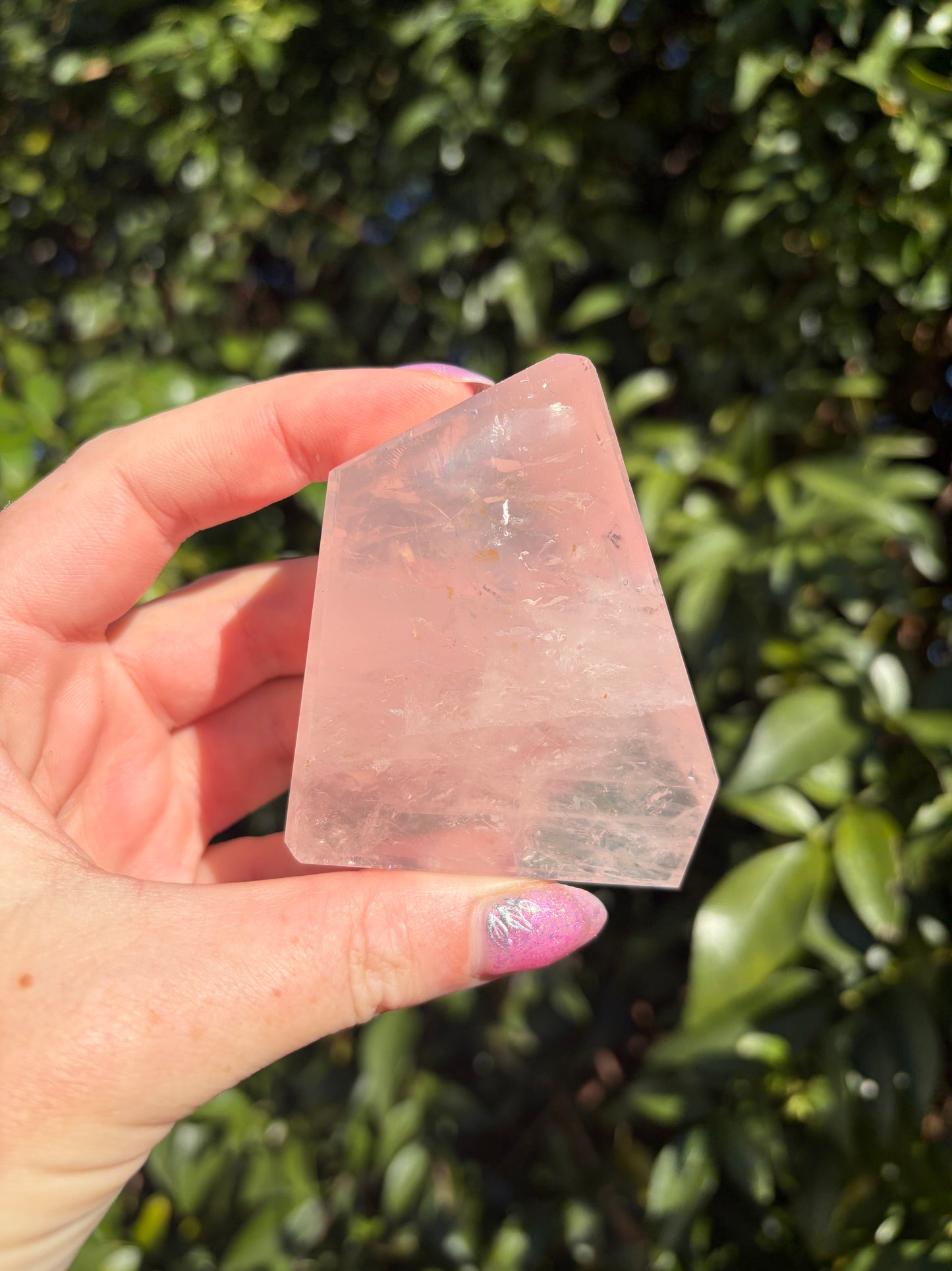 Rose Quartz Polished Free Form B