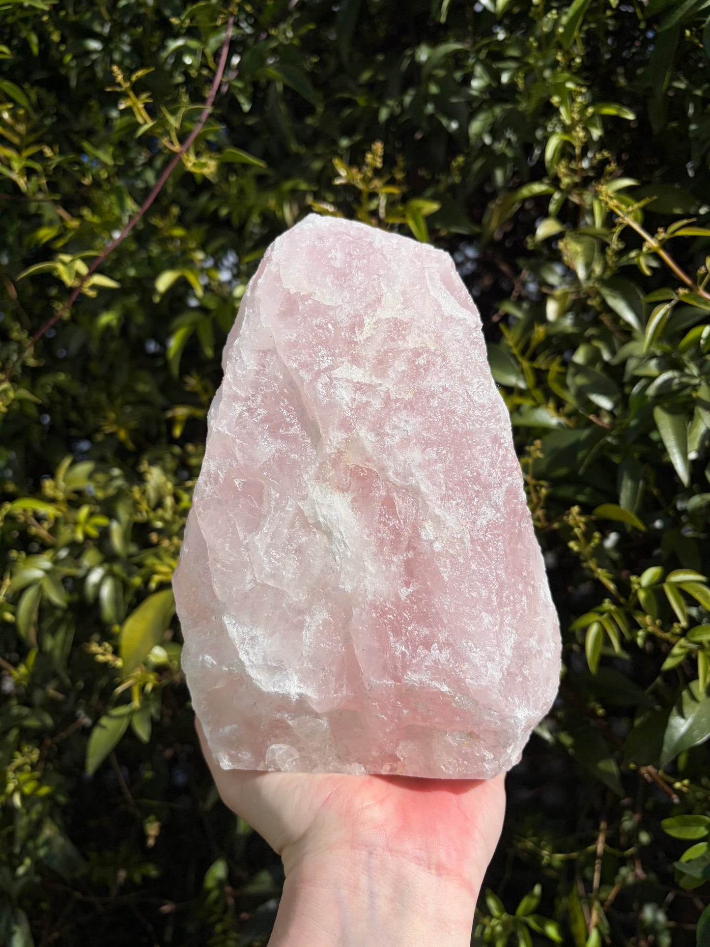 Rose Quartz Large Rough Flat Base A 2.6kgs