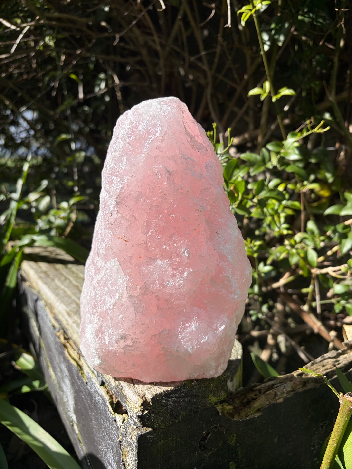 Rose Quartz Large Rough Flat Base A 2.6kgs