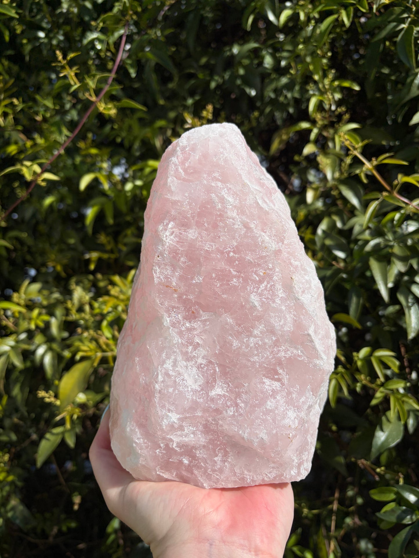 Rose Quartz Large Rough Flat Base A 2.6kgs
