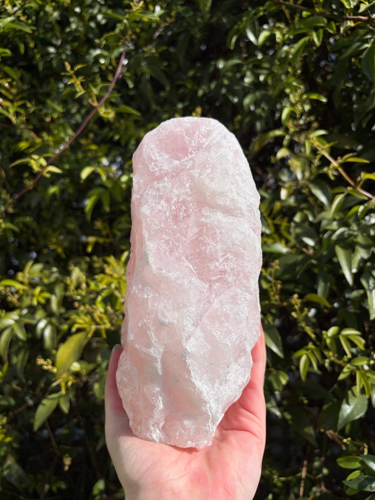 Rose Quartz Large Rough Flat Base A 2.6kgs