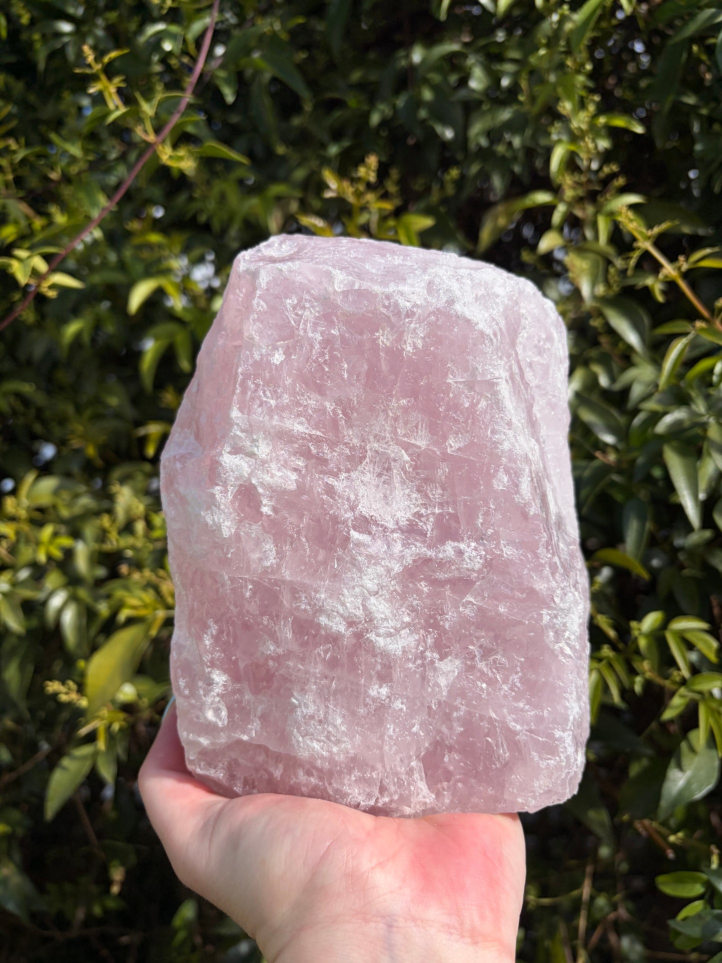 Rose Quartz Rough Flat Base B 3.5kgs
