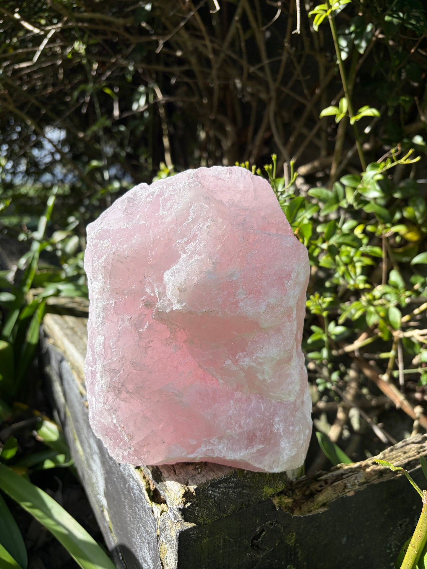 Rose Quartz Rough Flat Base B 3.5kgs
