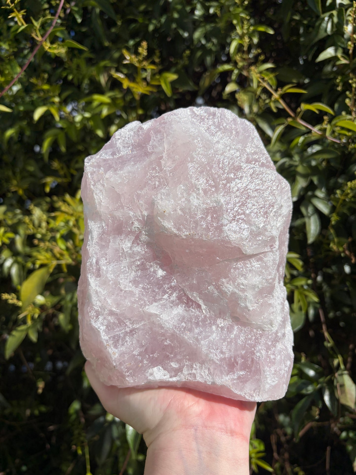 Rose Quartz Rough Flat Base B 3.5kgs