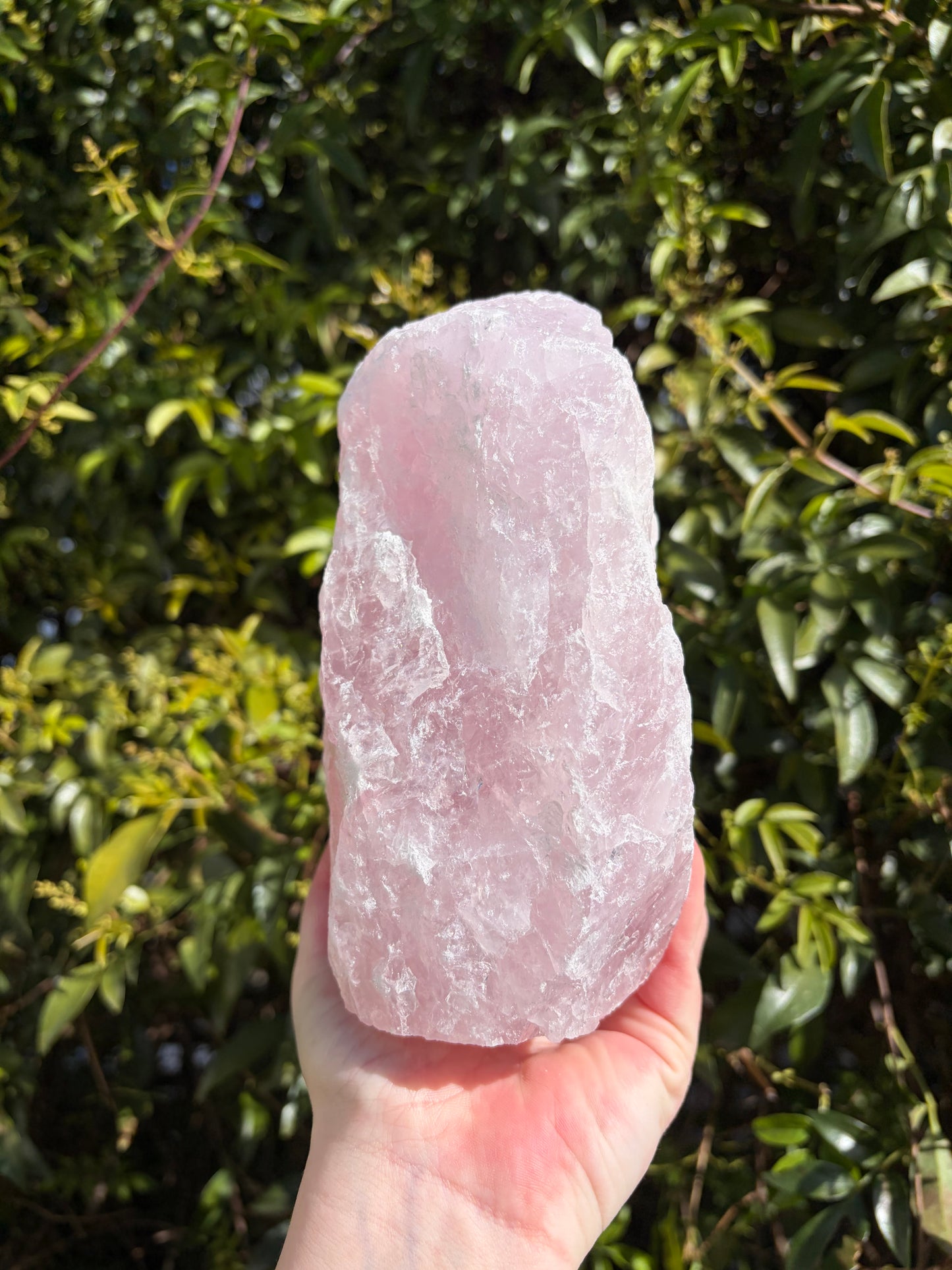 Rose Quartz Rough Flat Base B 3.5kgs