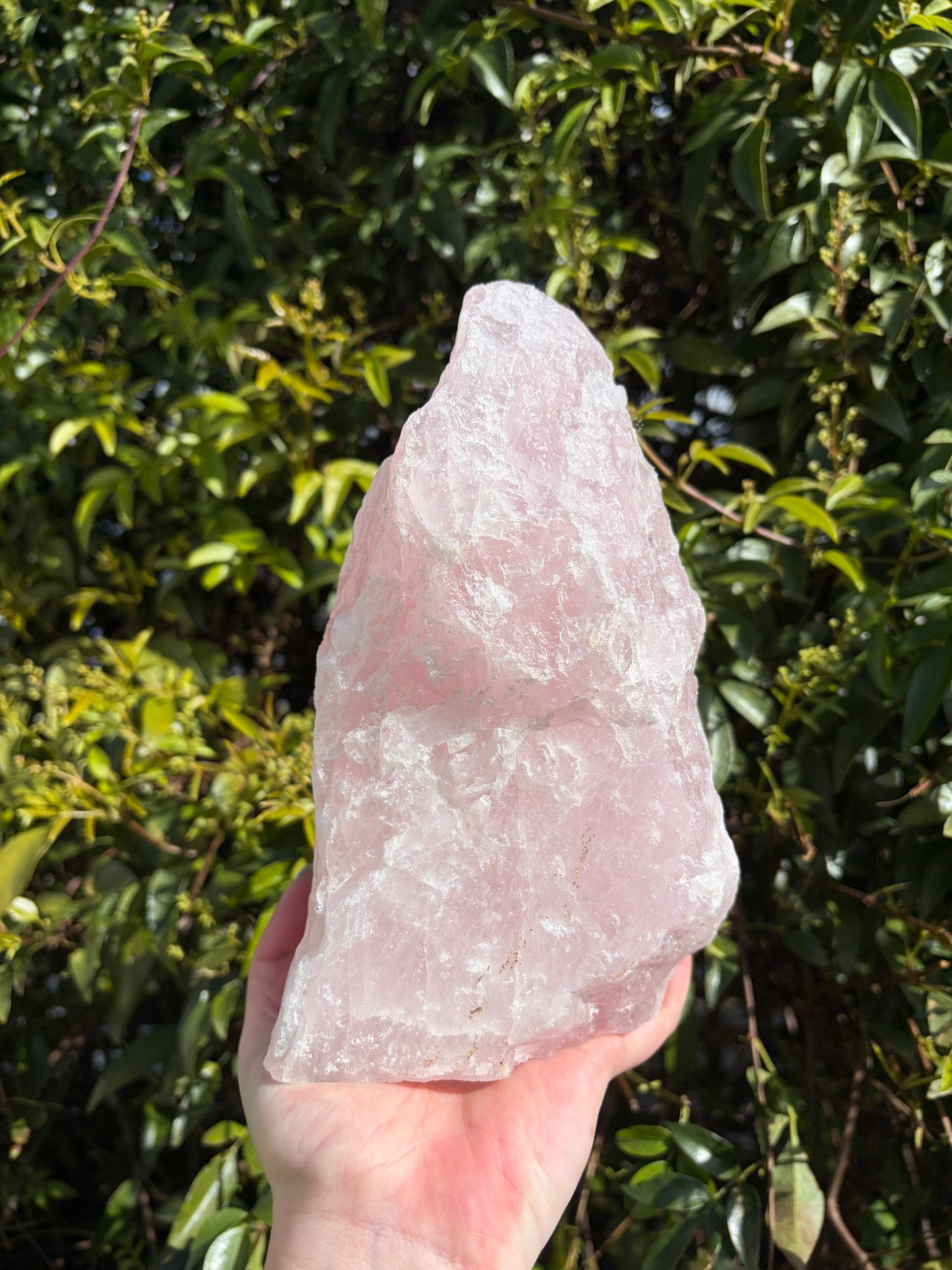 Rose Quartz Rough Flat Base 3.5kgs C