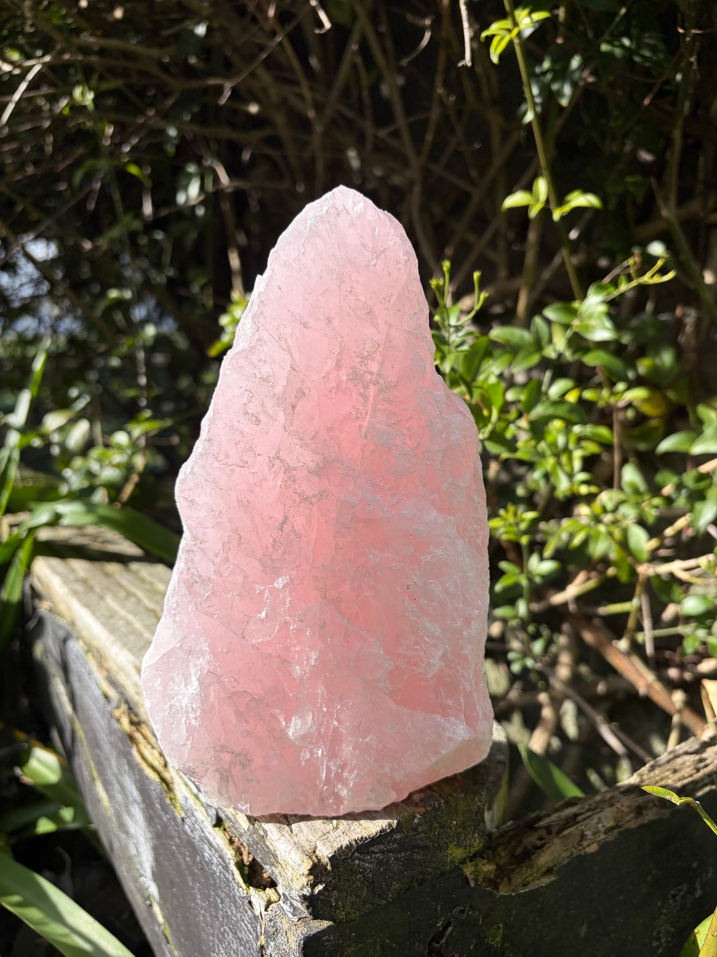 Rose Quartz Rough Flat Base 3.5kgs C