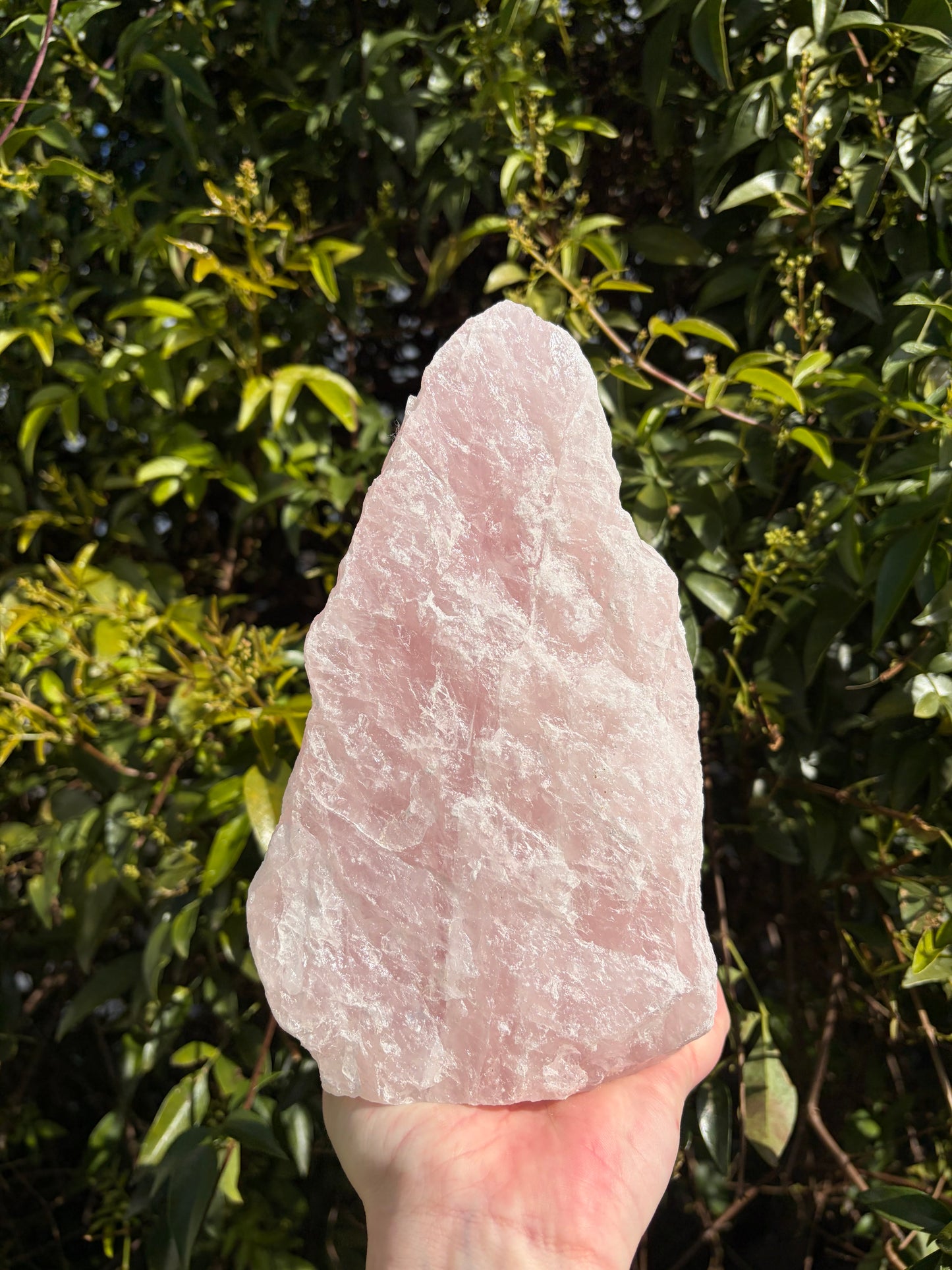 Rose Quartz Rough Flat Base 3.5kgs C