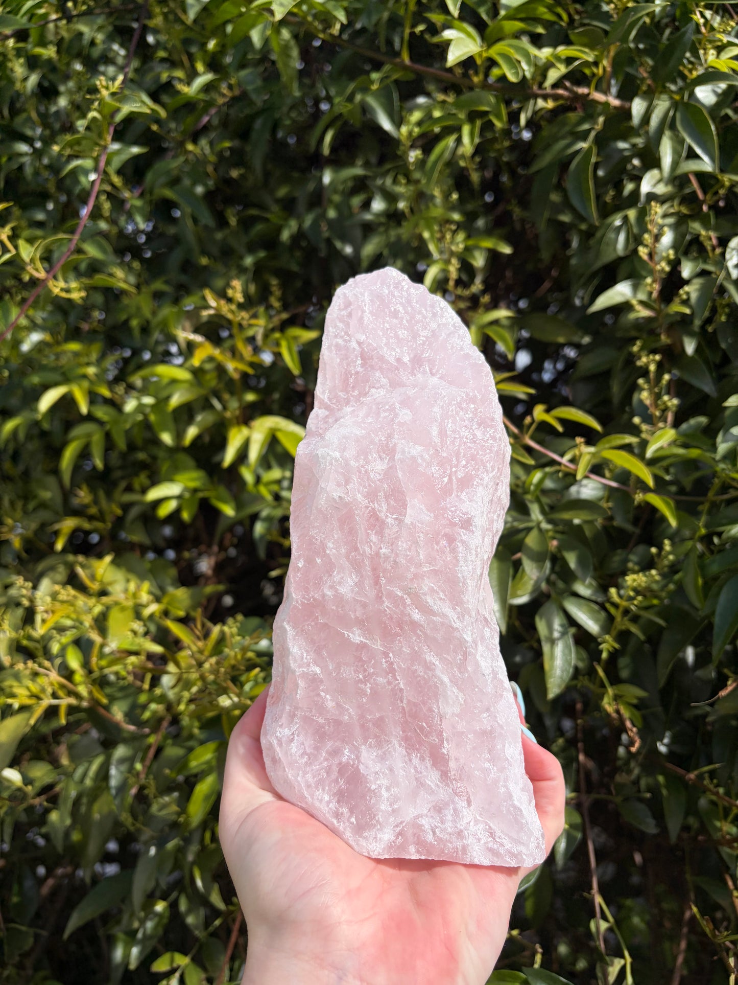 Rose Quartz Rough Flat Base 3.5kgs C