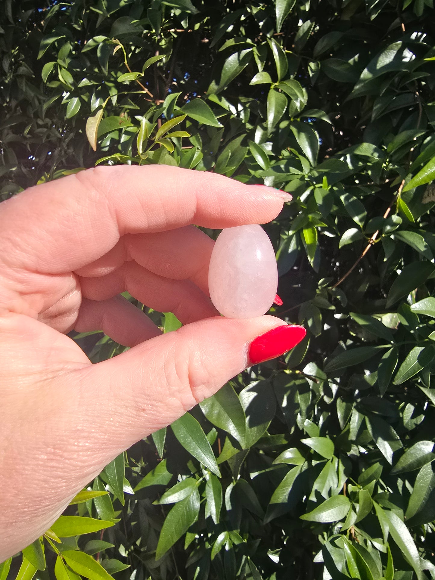Rose Quartz Mini Egg