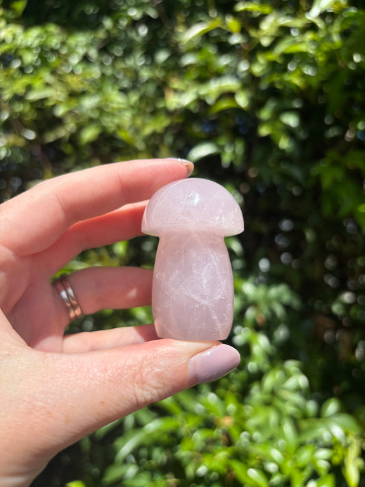 Rose Quartz Mushroom C
