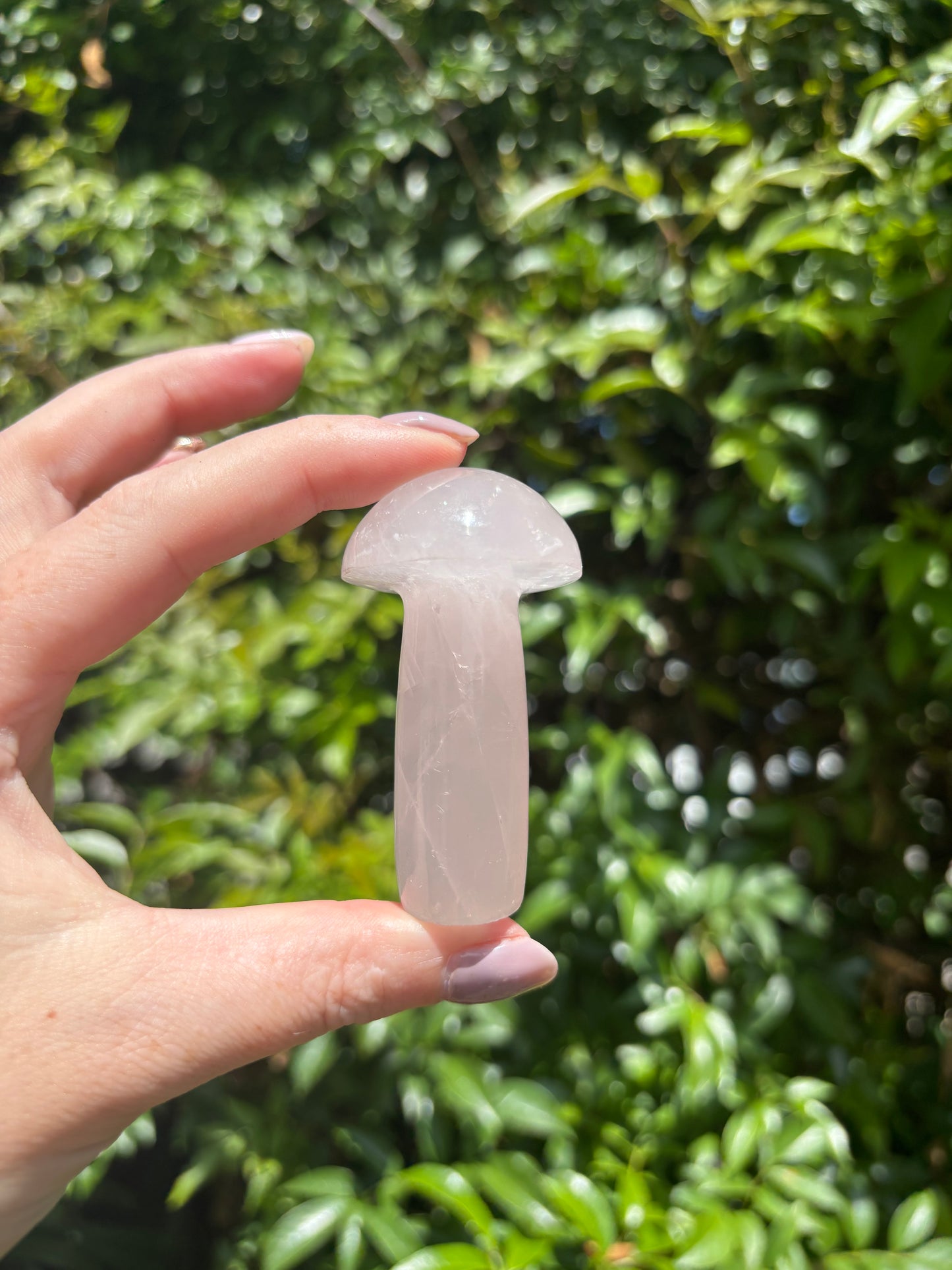 Rose Quartz Mushroom F