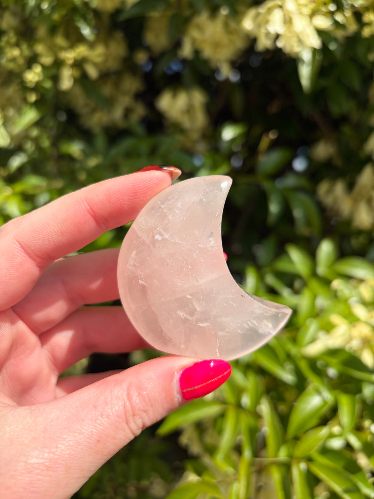 Rose Quartz Small Self Standing D