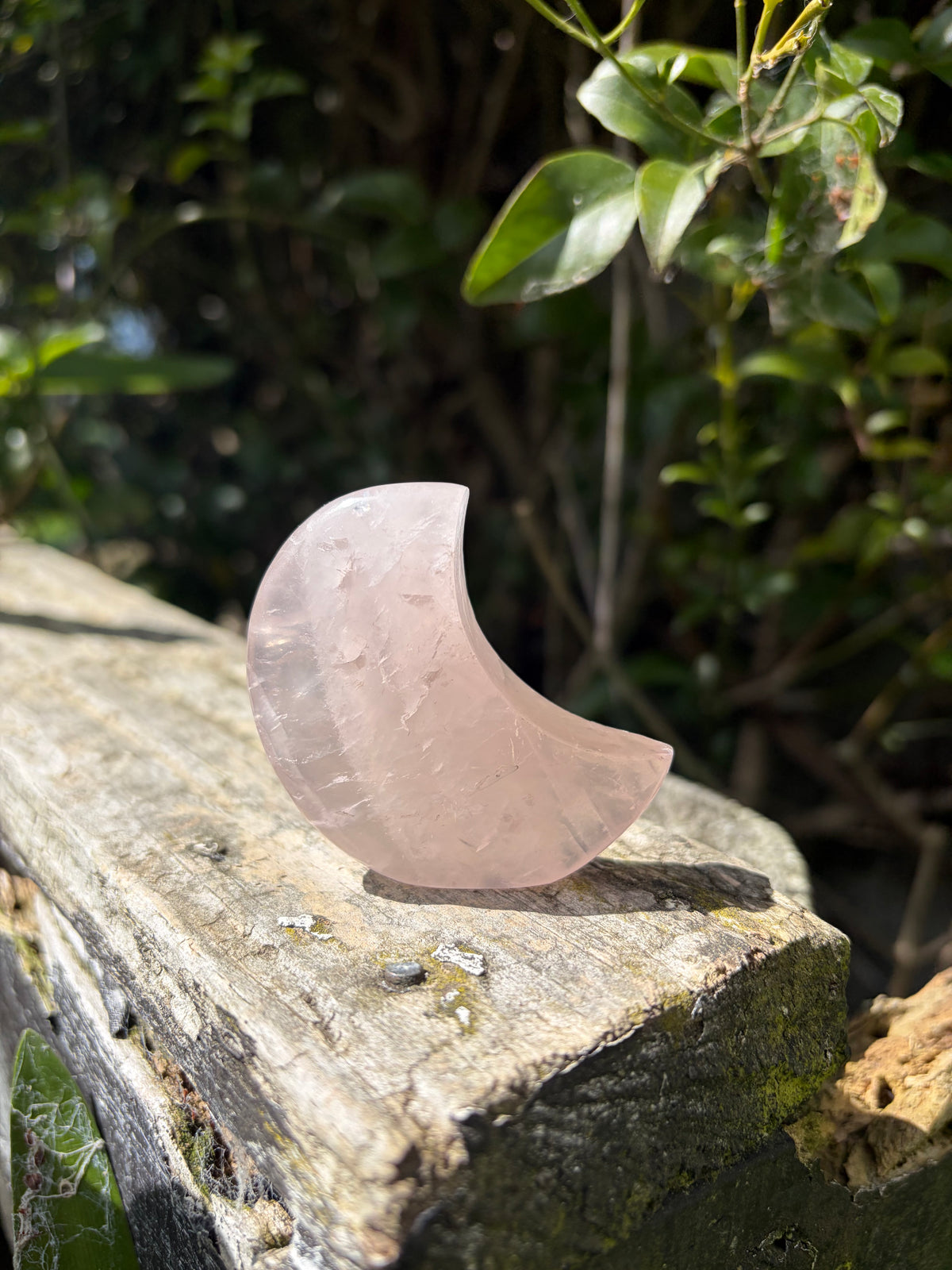 Rose Quartz Small Self Standing D