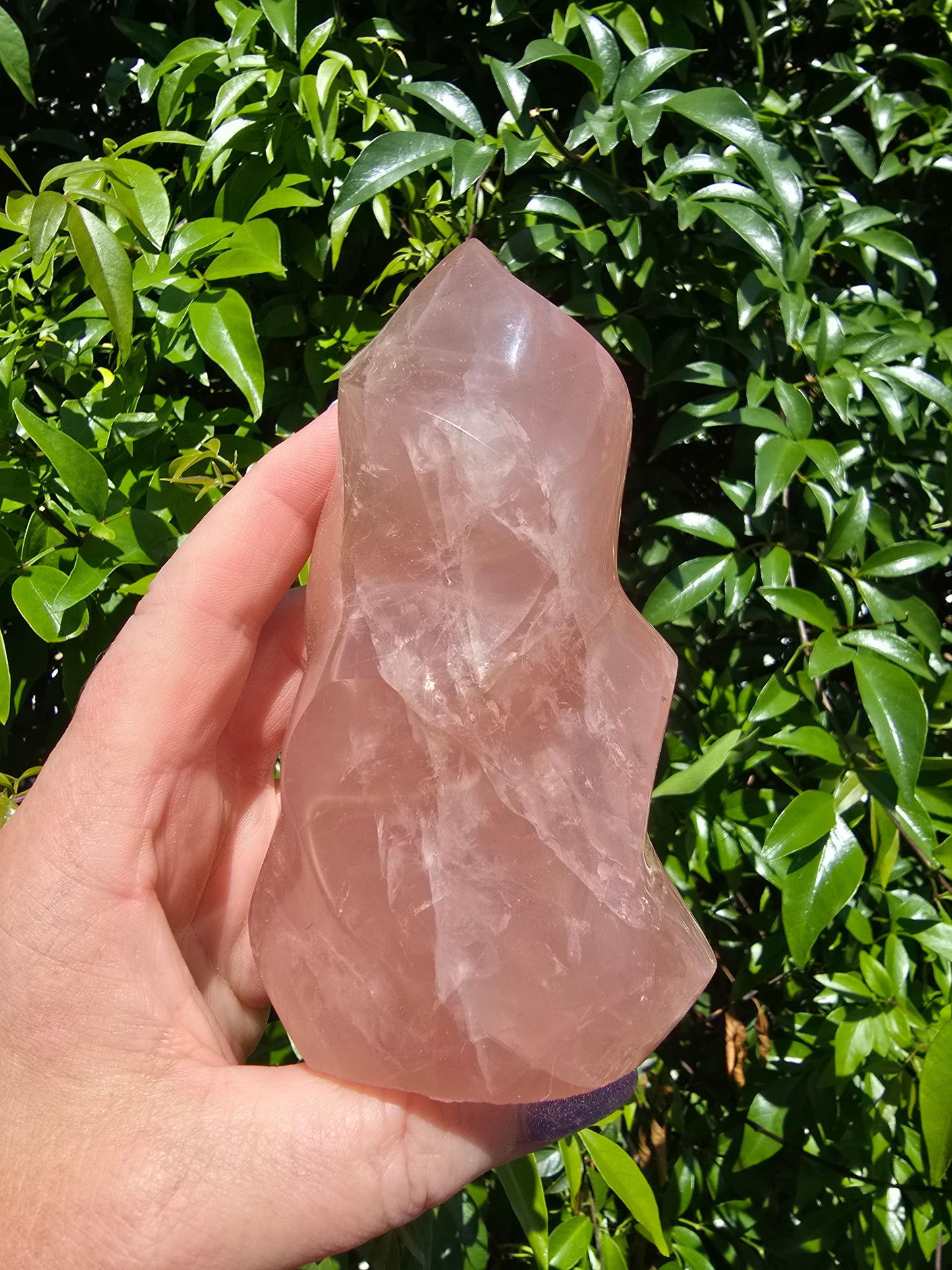 Rose Quartz Large Flame D