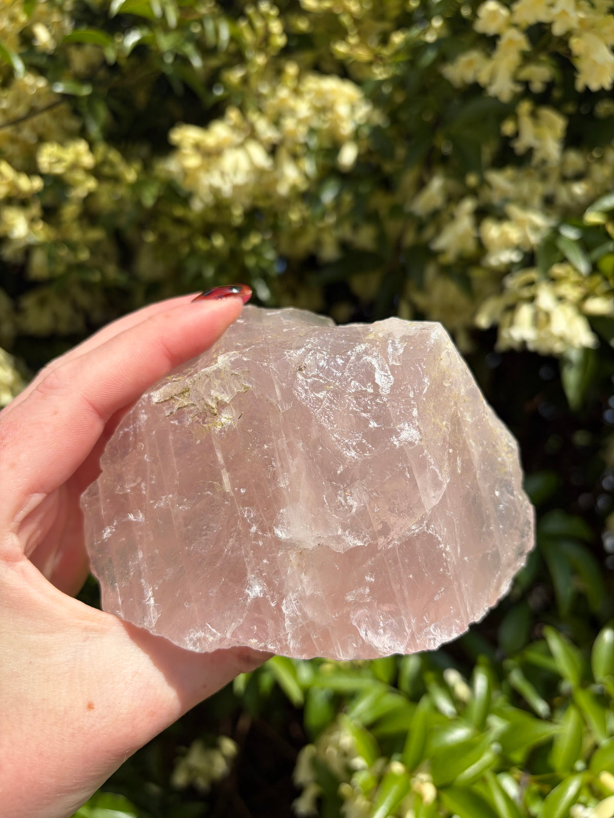 Rose Quartz Rough Large Piece A
