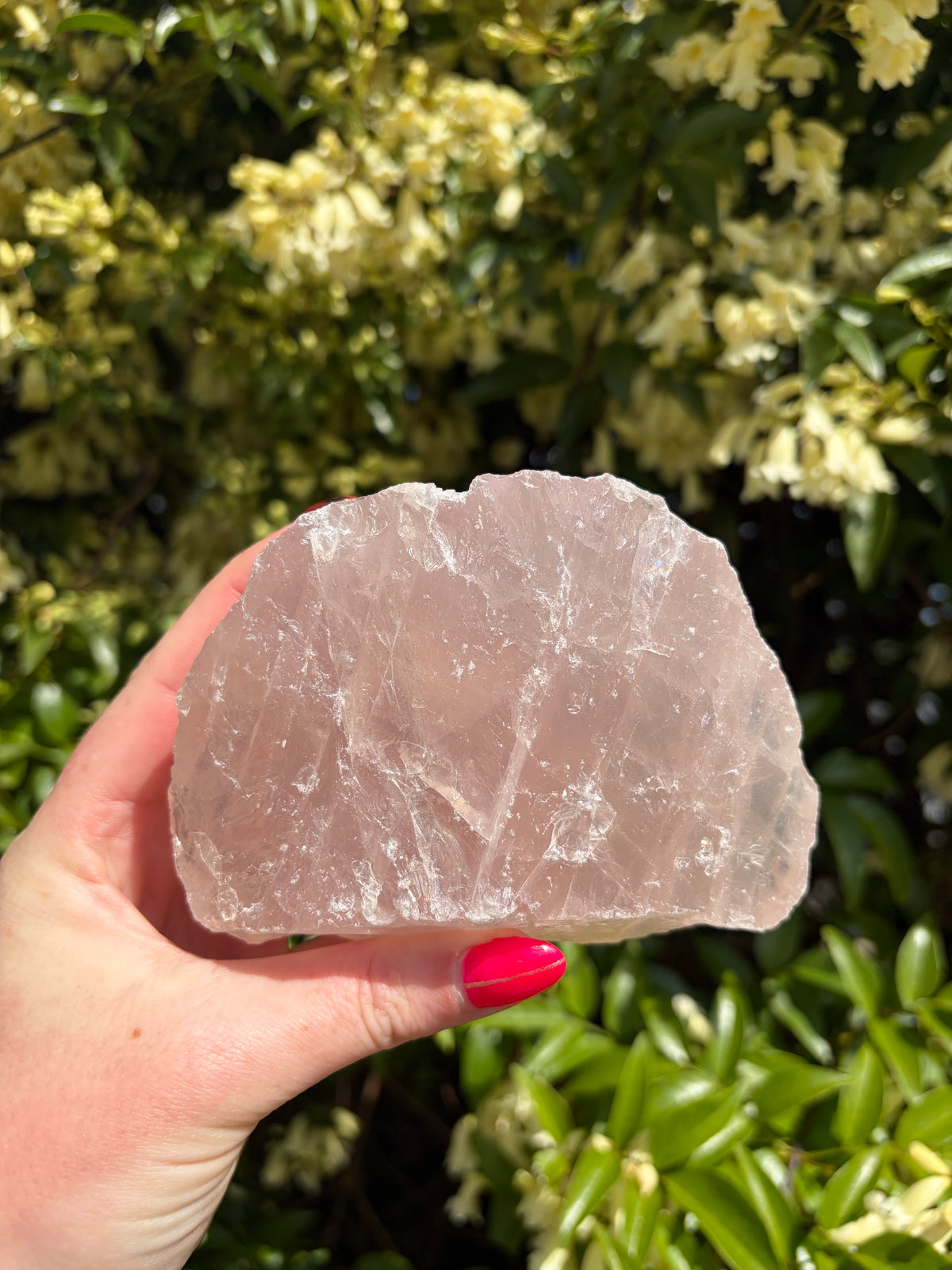 Rose Quartz Rough Large Piece A