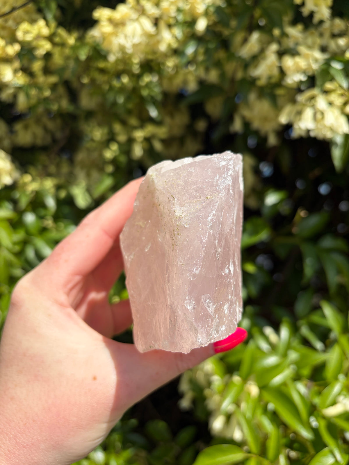 Rose Quartz Rough Large Piece A