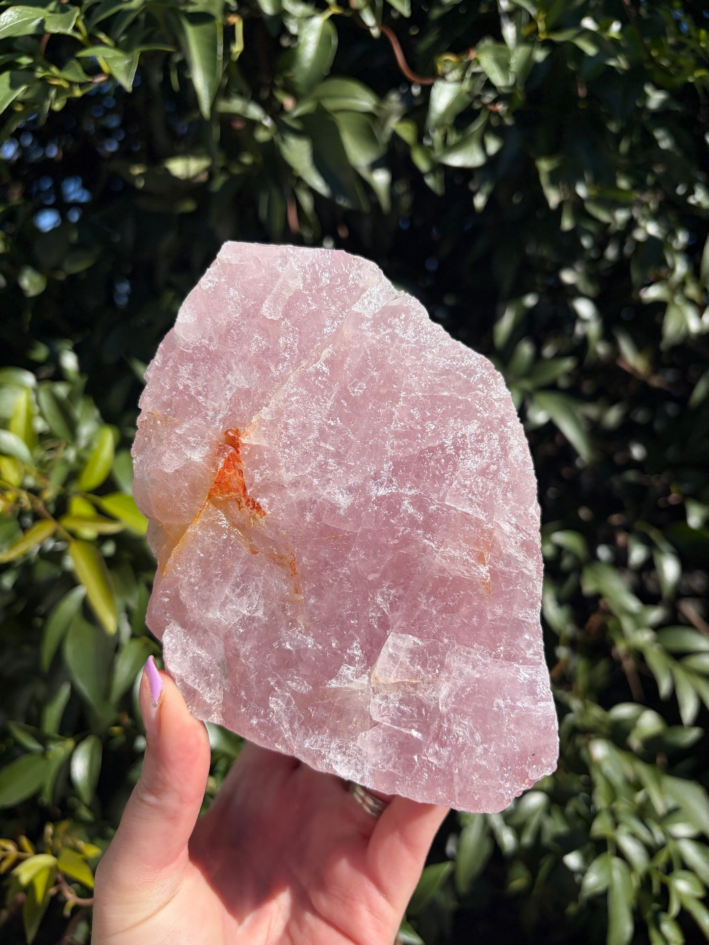 Rose Quartz Large Rough Piece A