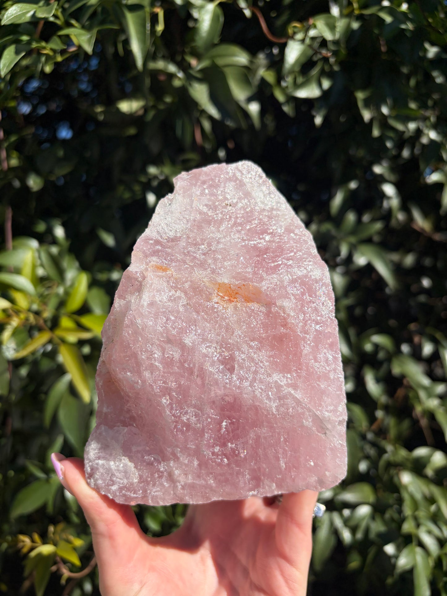 Rose Quartz Large Rough Piece A