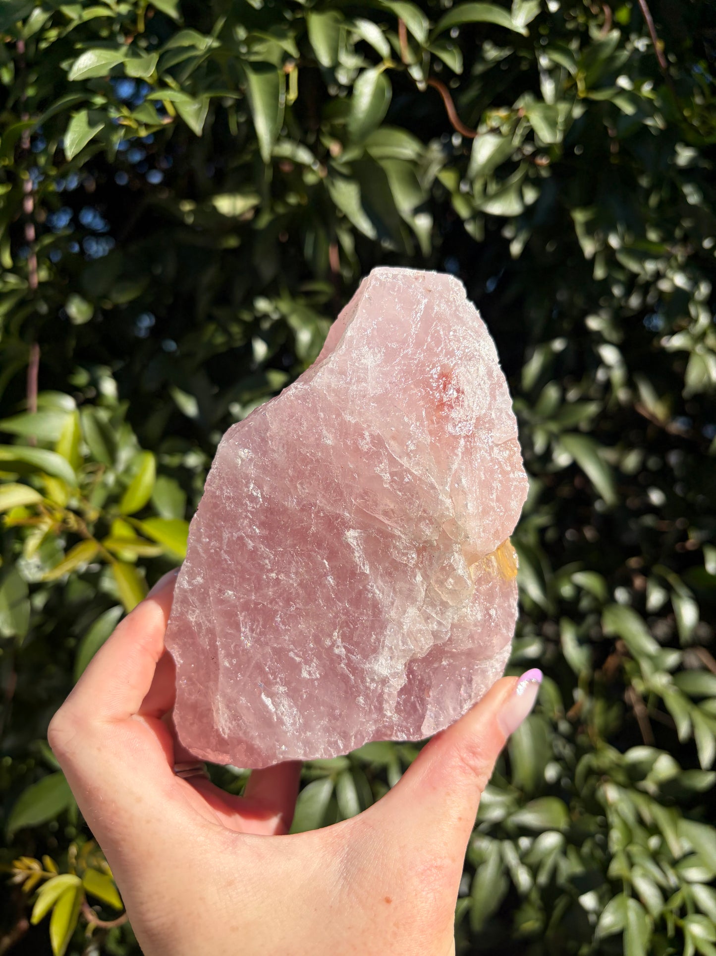 Rose Quartz Large Rough Piece A