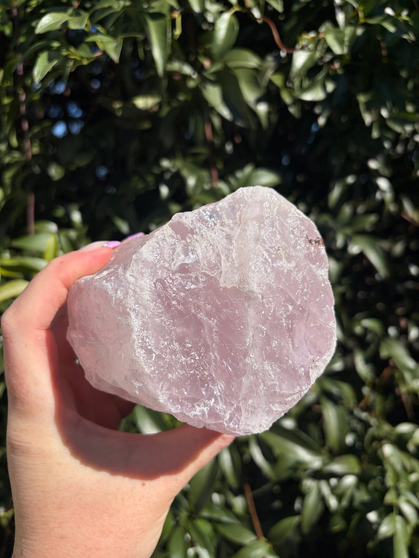 Rose Quartz Large Rough Piece B