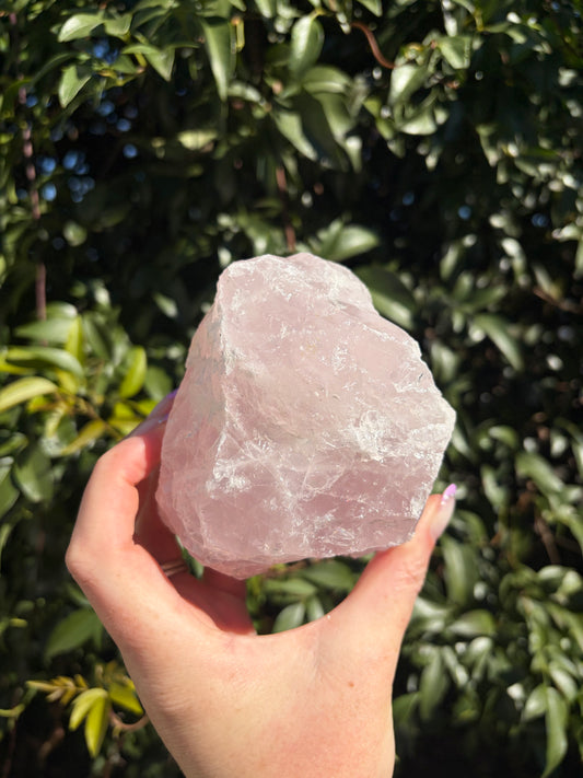 Rose Quartz Large Rough Piece B