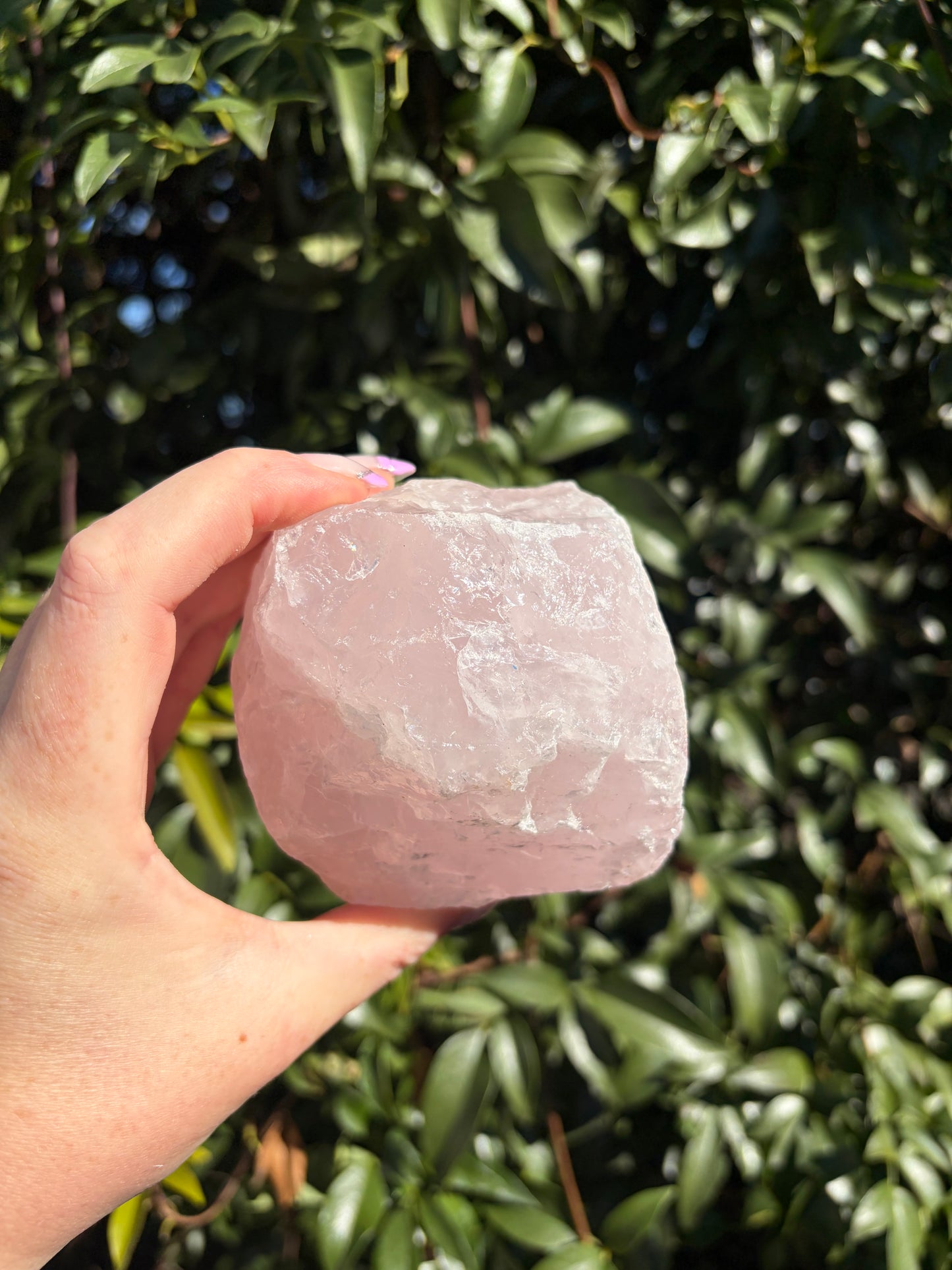 Rose Quartz Large Rough Piece B